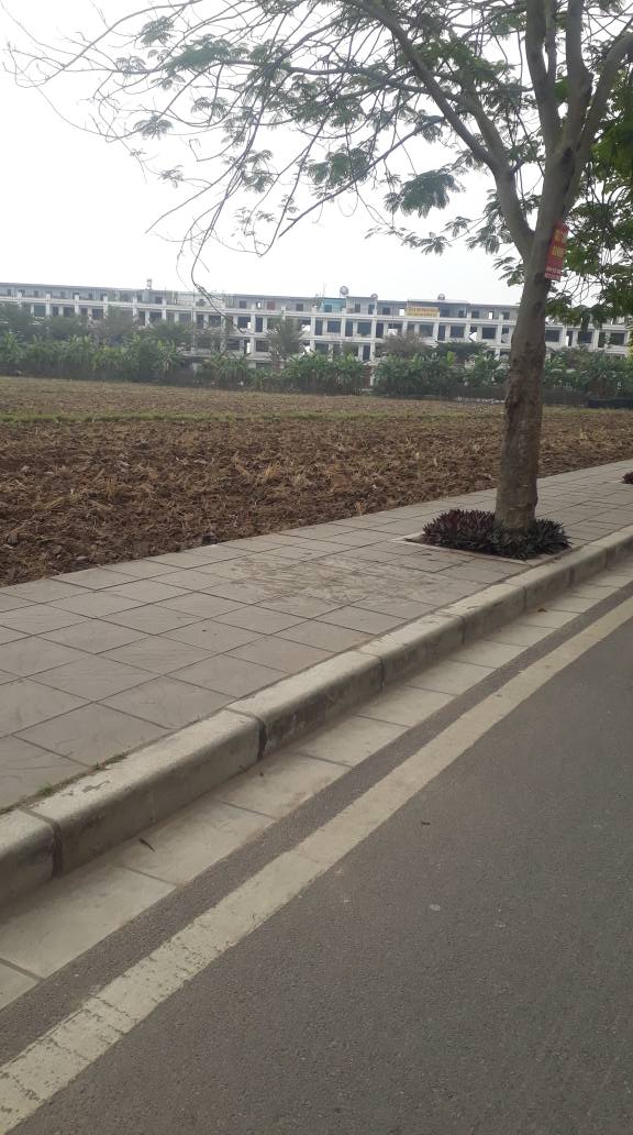 Đất nền Phù Khê Từ Sơn 46m² giá thỏa thuận - Lô góc 2 mặt tiền, kinh doanh tốt!