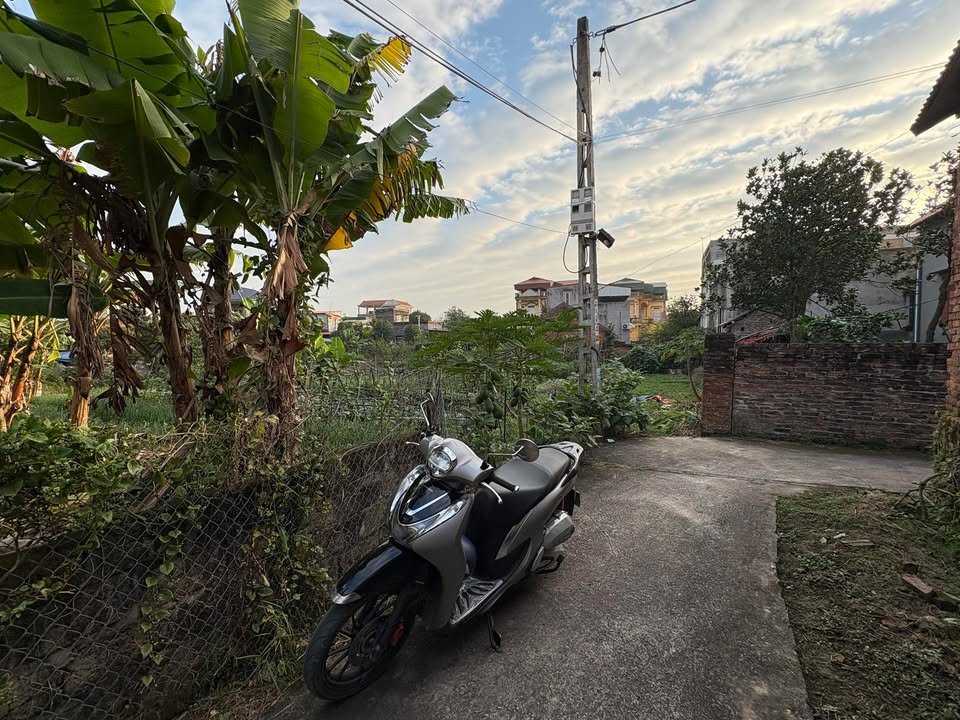 Đất thổ cư 500m² xã Mỹ Hương, Lương Tài, Bắc Ninh - Giá cực hấp dẫn, đầu tư sinh lời!