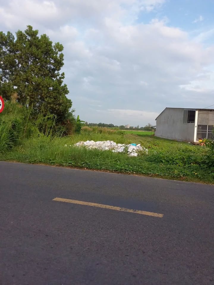 Đất nền DT 846, Phường Mỹ Ngãi, 298m² Giá 900 triệu - Mặt tiền thuận lợi cho kinh doanh!