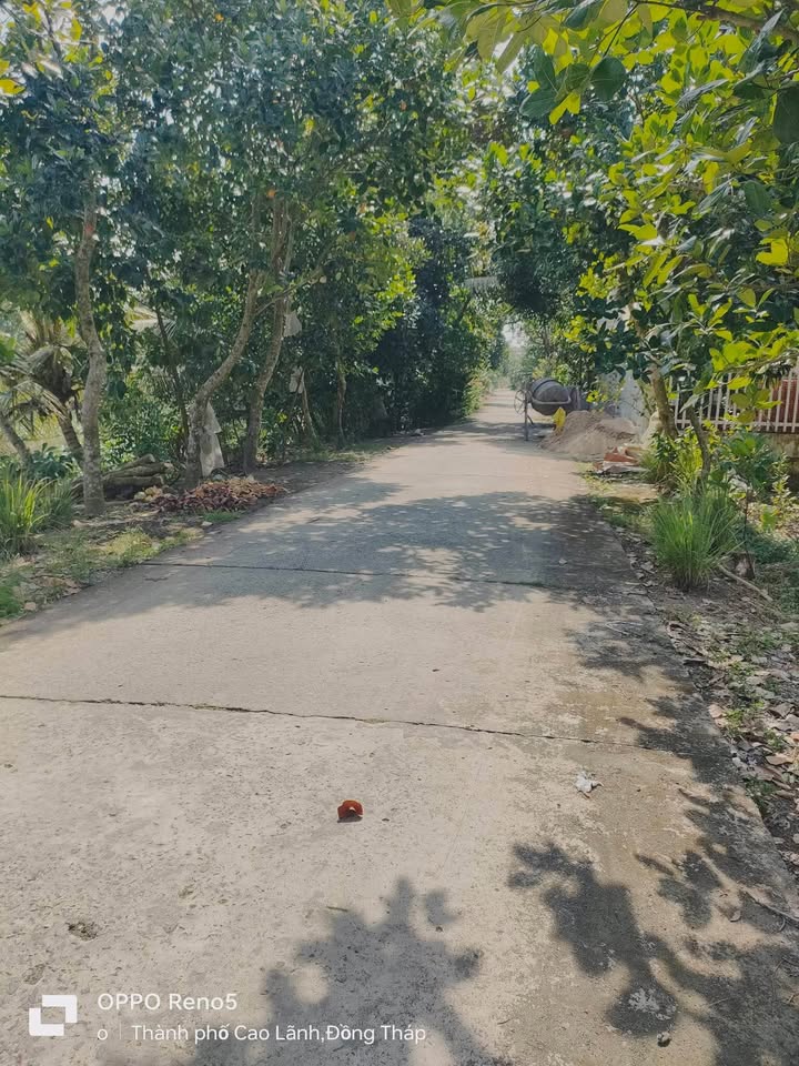 Đất nền phường Mỹ Ngãi, Đồng Tháp 150m² giá 900 triệu - Cơ hội đầu tư tuyệt vời!