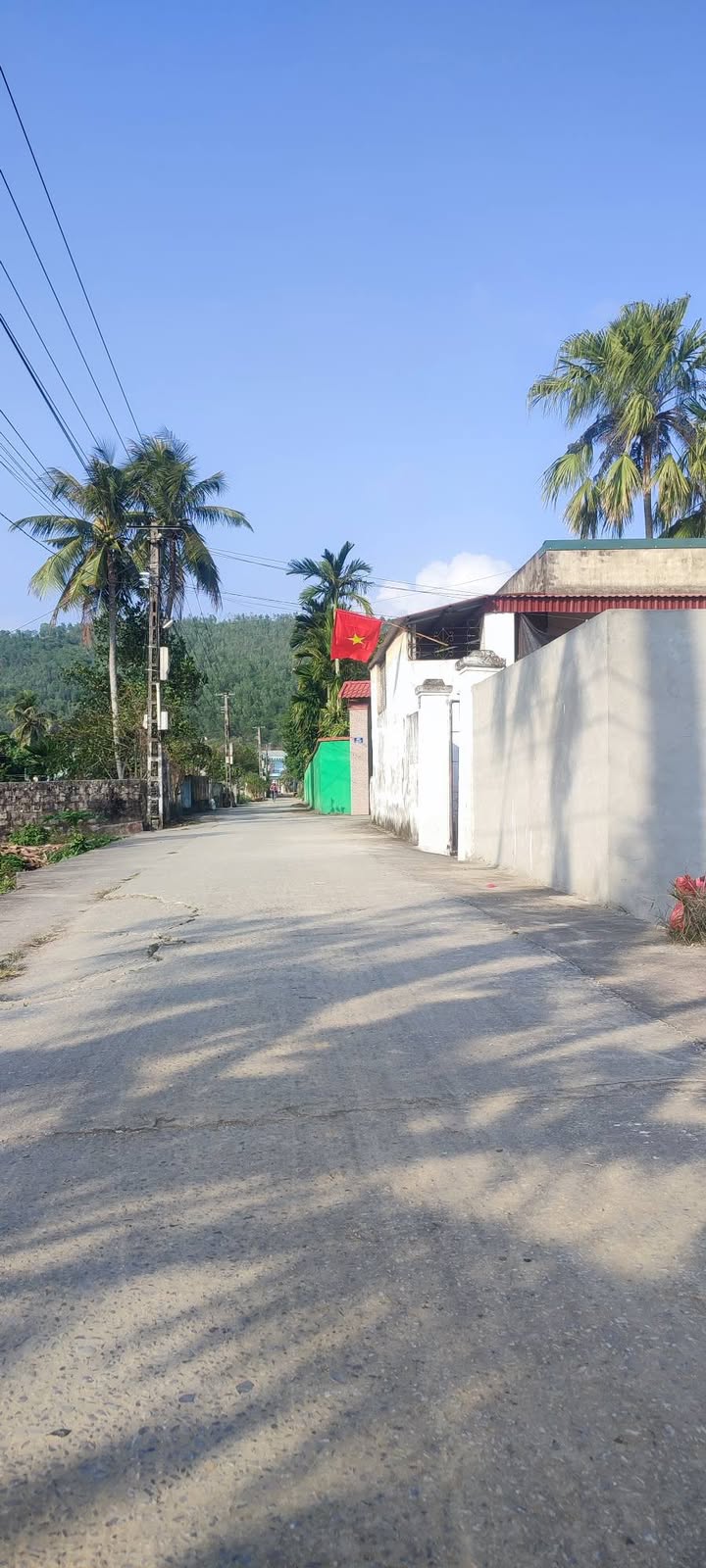 Đất thổ cư 1000m² tại Quảng Ngọc - Giá chỉ 3 triệu/m², thích hợp phân lô!