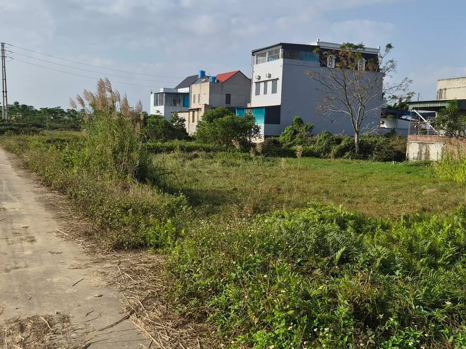 Đất nền đường 7, xã Xuân Lộc, huyện Hậu Lộc 200m² - Giá thỏa thuận hấp dẫn!