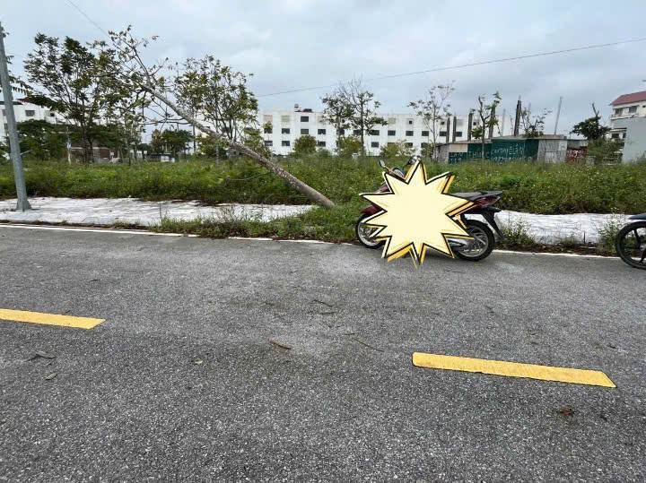 Đất nền Quảng Xương, Tân Phong 85m² - Cơ hội đầu tư hấp dẫn!