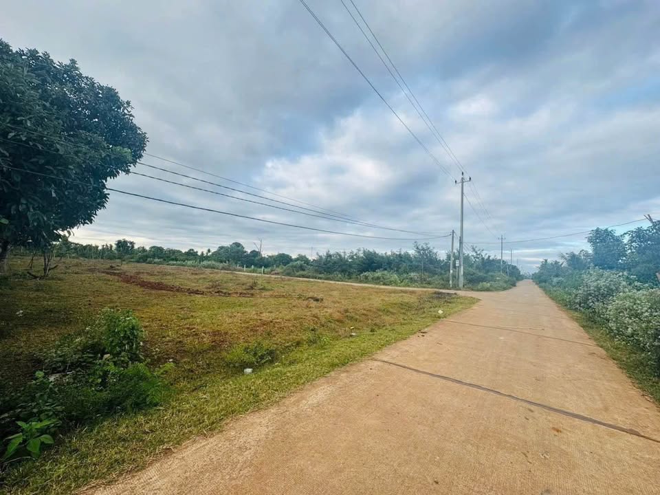 Đất nền Hòa Khánh Buôn Ma Thuột 100m² giá 525 triệu - Sổ hồng chính chủ!