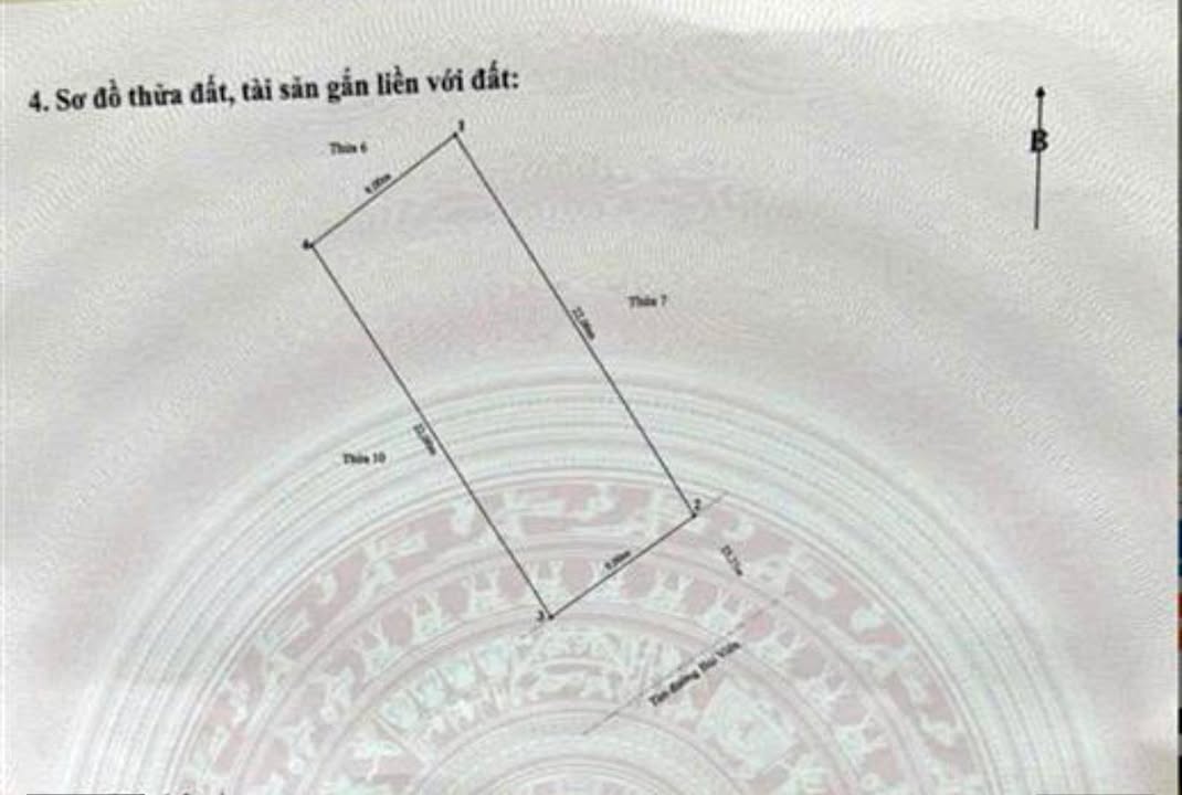 Đất mặt đường Bùi Viện, Hải Phòng 198m² giá 92 triệu - Cơ hội đầu tư sinh lời!
