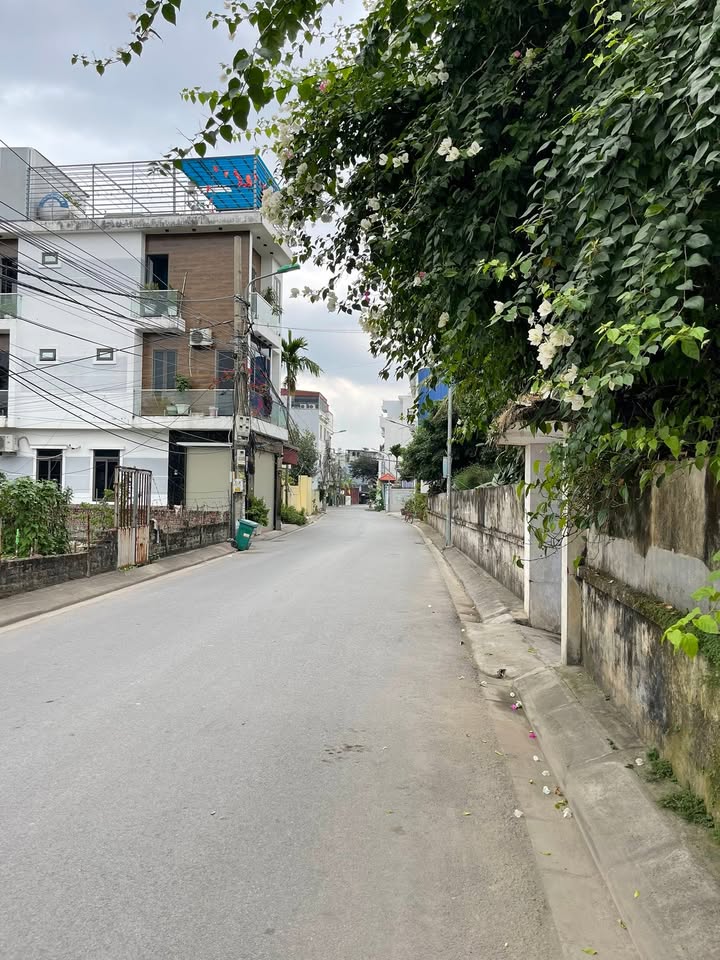 Đất nền mặt đường Trục Tổ 8 An Dương 96m² giá chỉ 3 tỷ - Đầu tư sinh lời cao!