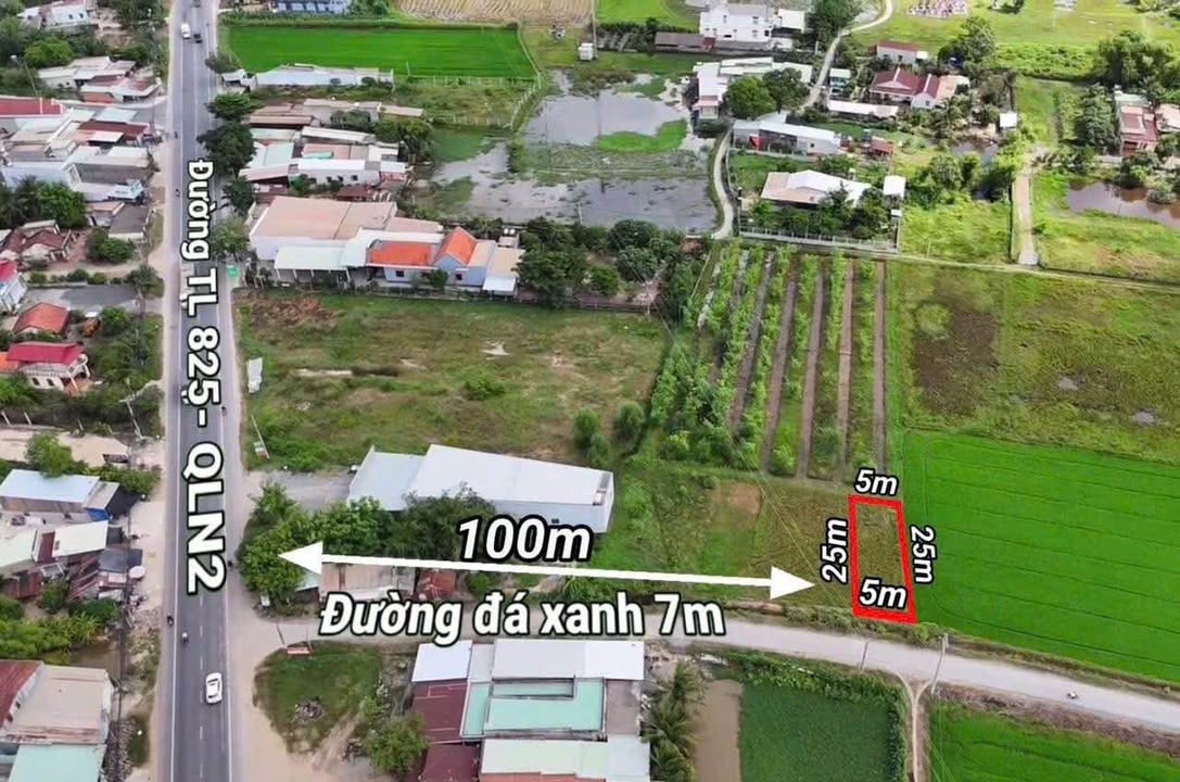 Đất thổ cư 125m² xã Hòa Khánh Đông, Đức Hòa - Giá 1.1 tỷ - Cơ hội đầu tư hấp dẫn!