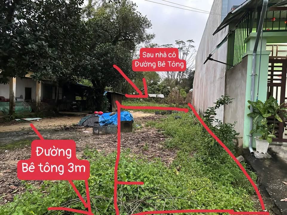 Đất thổ cư Tam Kỳ 150m² giá 900 triệu - Sổ hồng chính chủ!