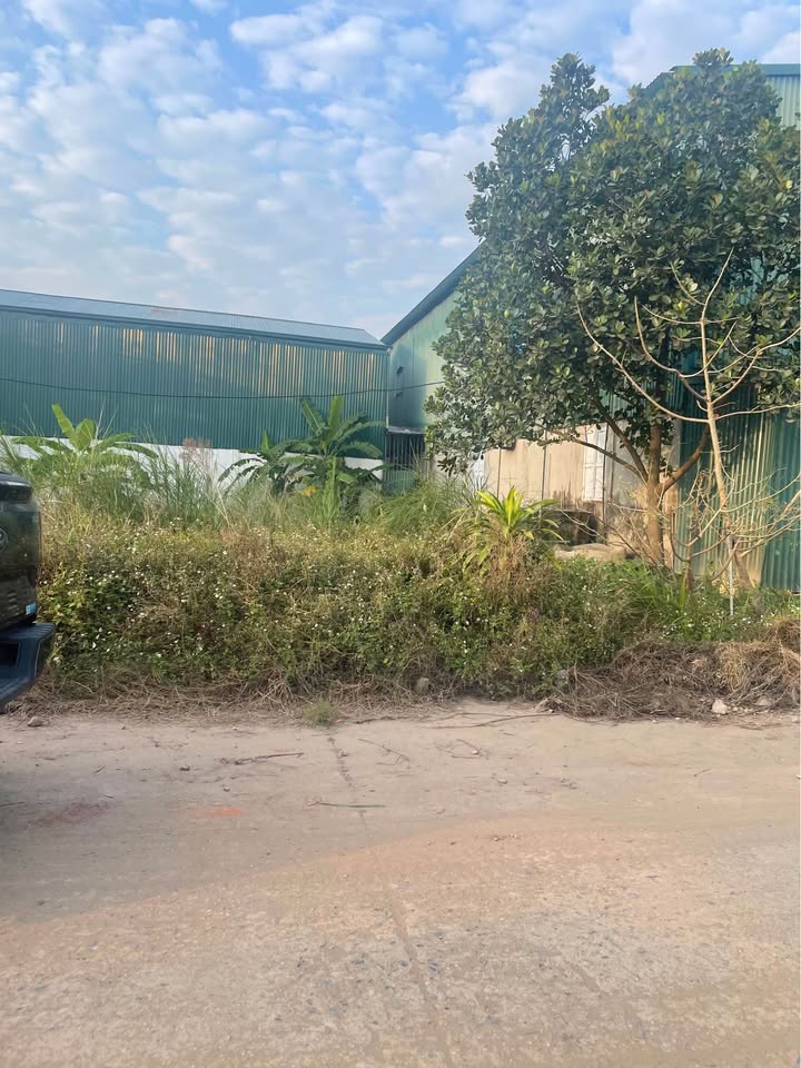 Bán đất Đình Tổ - Trí Quả 102m² - Đường ô tô tránh, vị trí đắc địa!