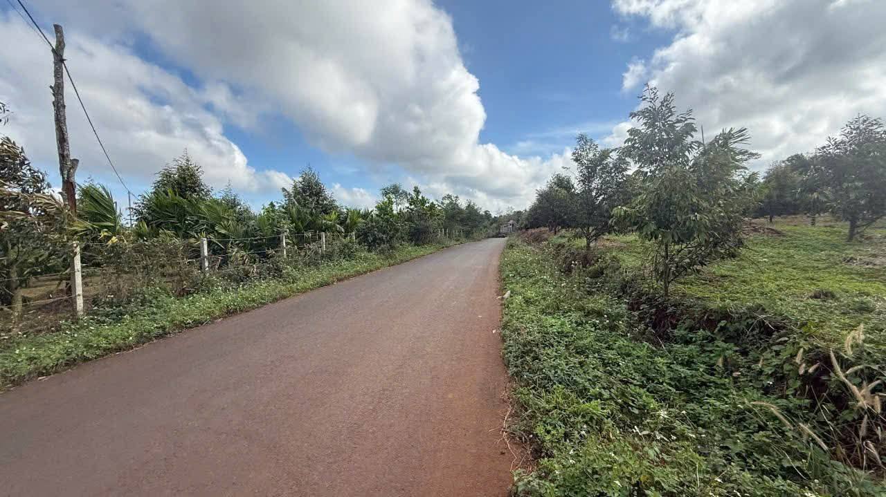 Đất nền mặt tiền đường Komleo 165m² giá 1.55 tỷ - Đầu tư sinh lời ngay!