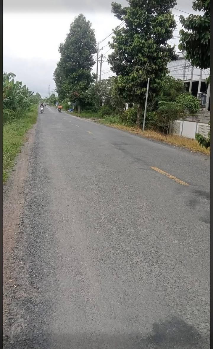 Đất nông nghiệp 10 công tại Tân Phú Trung, Đồng Tháp - Mặt tiền 42m, giá 6.5 tỷ!