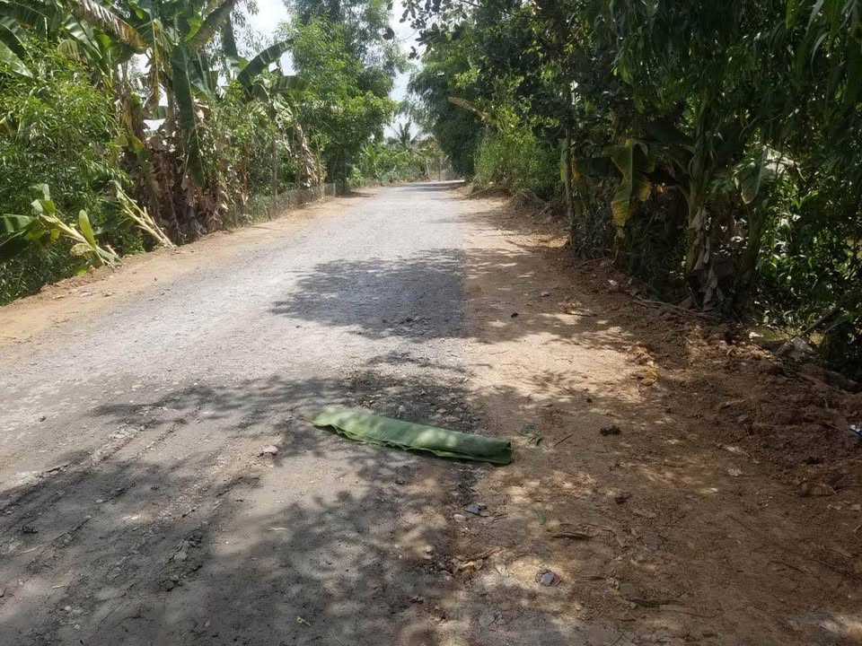 Đất lúa 2.1 công tại Tân Phú Trung, Châu Thành - Giá tốt chỉ 1.68 tỷ!