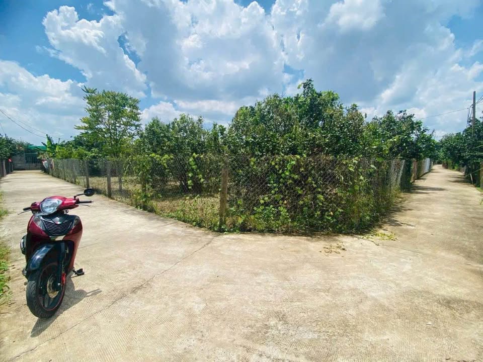 Đất vườn Tân Triều Đồng Nai 500m² giá 2 tỷ - Hai mặt tiền đường pê tông