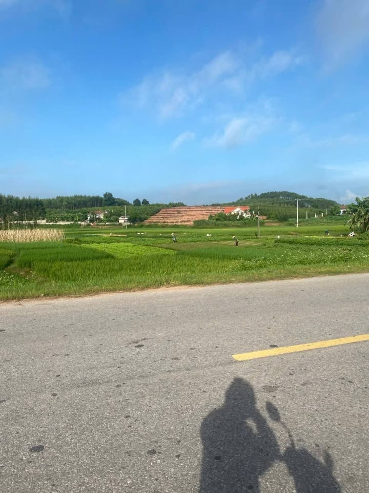 Đất rừng Mỹ Thái Bắc Giang 4155m² giá 1.605 tỷ - Lưng tựa núi, view cánh đồng