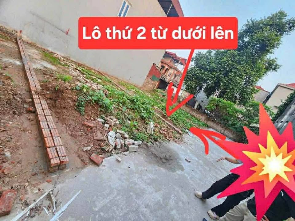 Đất kinh doanh 98m² tại phường Song Liễu, Bắc Ninh - Mặt tiền 8m, giá 4.4 tỷ!