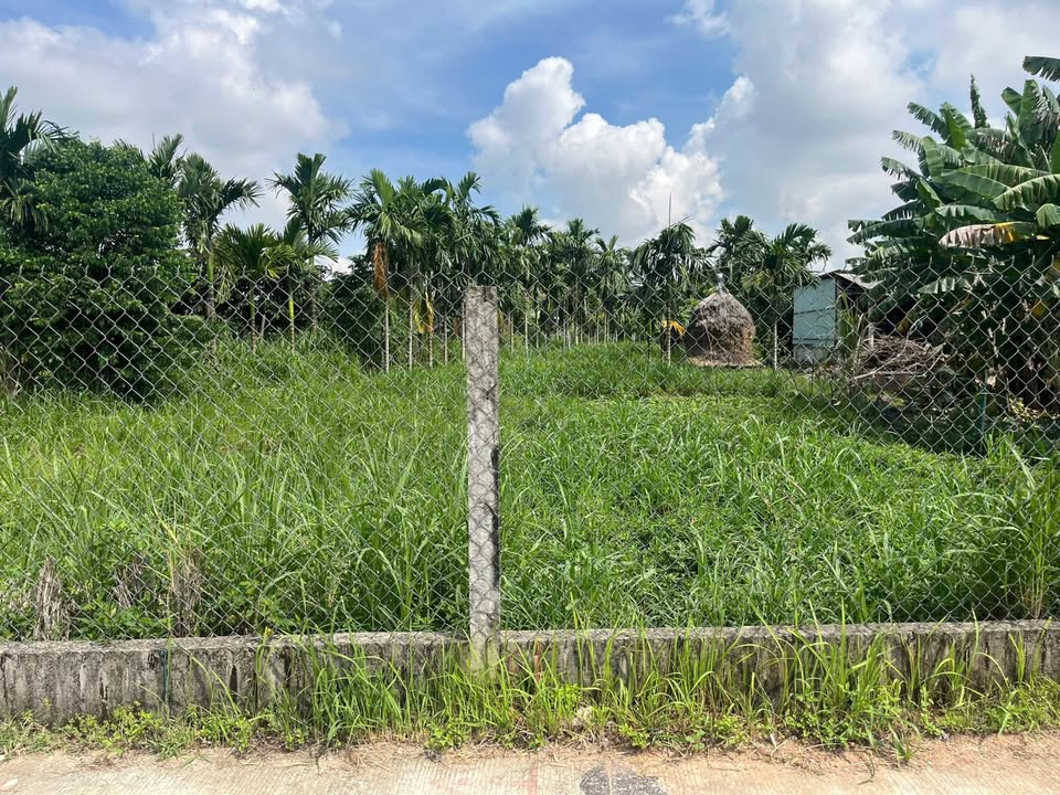 Đất Tịnh Ấn Tây - Quảng Ngãi 115m² giá 495 triệu - Cơ hội đầu tư tuyệt vời!