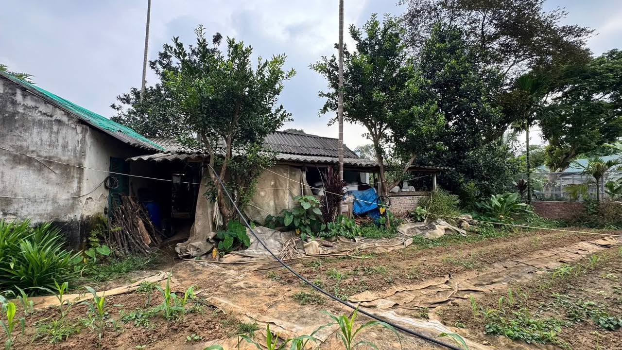 Trang trại 2,700m² tại Thôn Bản Bay, Gia Phú - Giá chỉ 2 tỷ, ô tô đỗ tận sân!