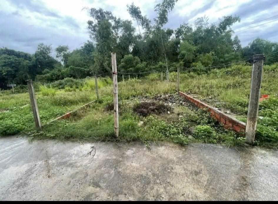 Đất thổ cư Phước An, Tuy Phước 150m² giá 420 triệu - Cơ hội đầu tư tuyệt vời!