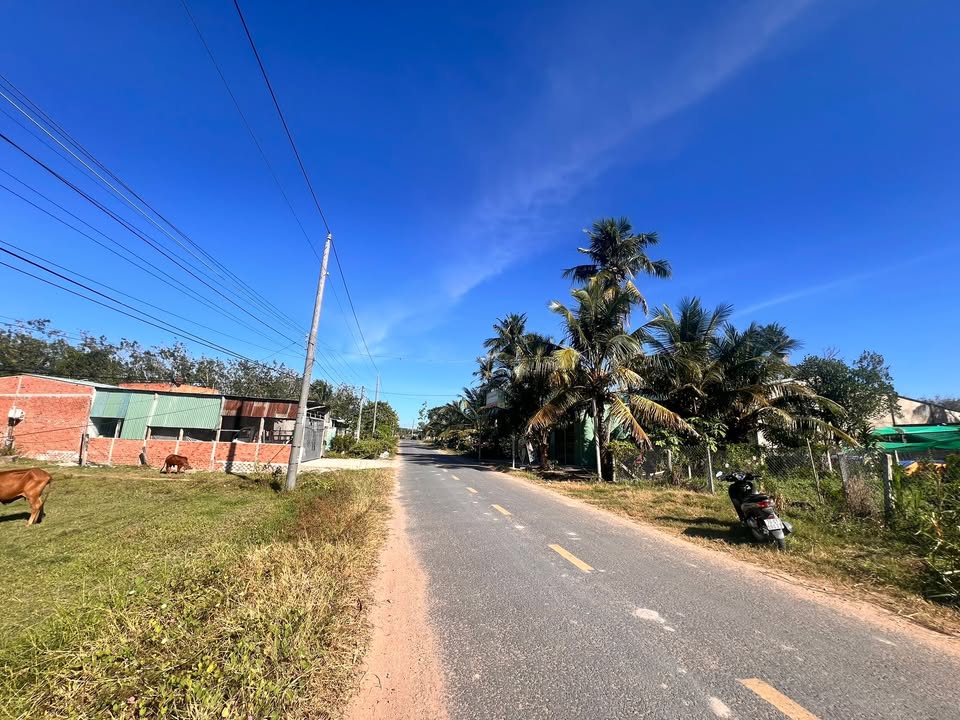 Đất mặt tiền đường nhựa Ninh Thạnh, Tây Ninh 450m² giá 1.2 tỷ - Đầu tư sinh lời hấp dẫn!