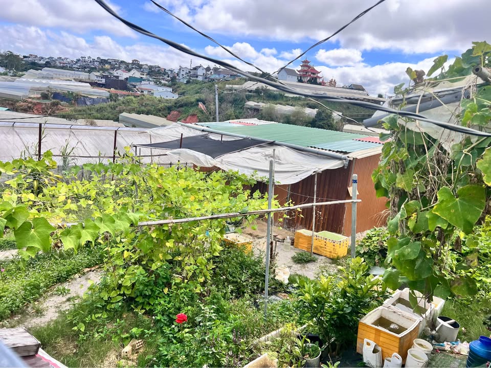 Đất Kim Thạch, Đức Trọng 76m² - Giá chỉ 460 triệu, Đường ô tô vào tận nơi!