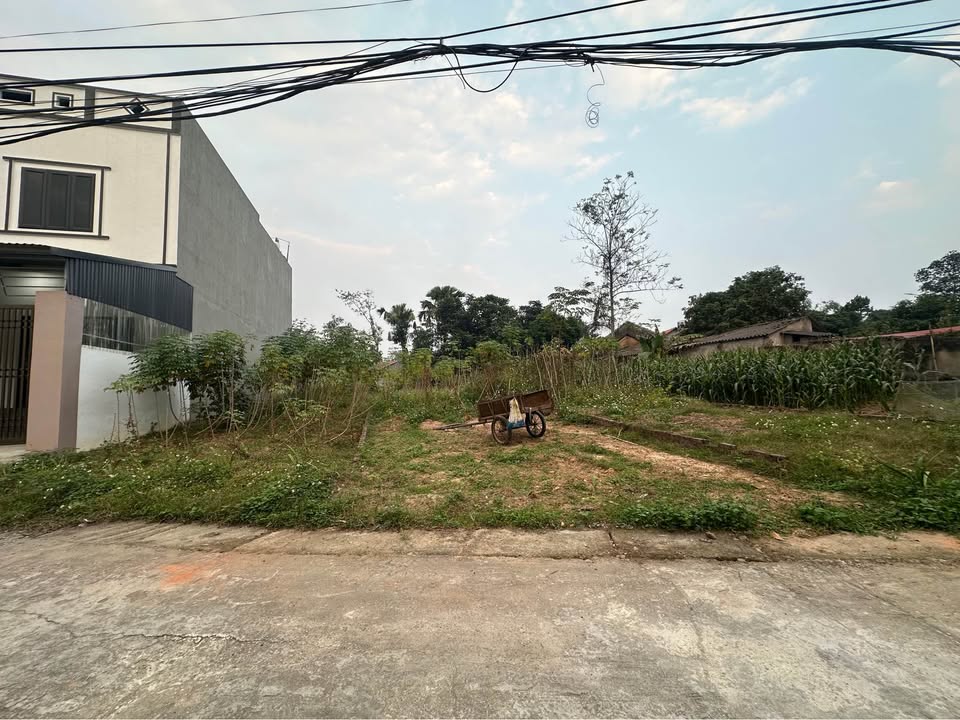 Đất nền Văn Quán, Lập Thạch 125m² giá 1 tỷ - Đầu tư nghỉ dưỡng lý tưởng!