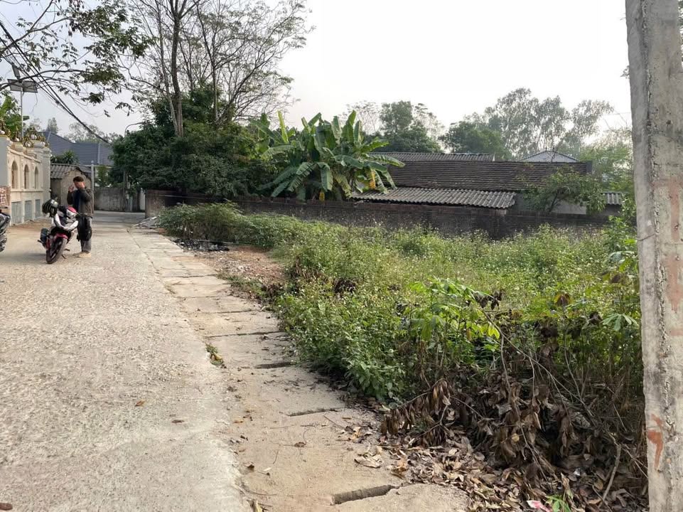 Đất nền Đạo Tú - Tam Dương 111m² giá chỉ 1.8 tỷ - Đầu tư sinh lời ngay!