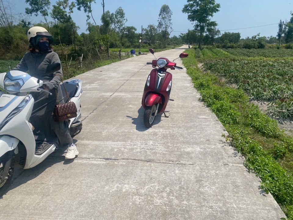 Đất trồng cây Tam Thăng 220m² giá chỉ 200 triệu - Cơ hội đầu tư hấp dẫn!