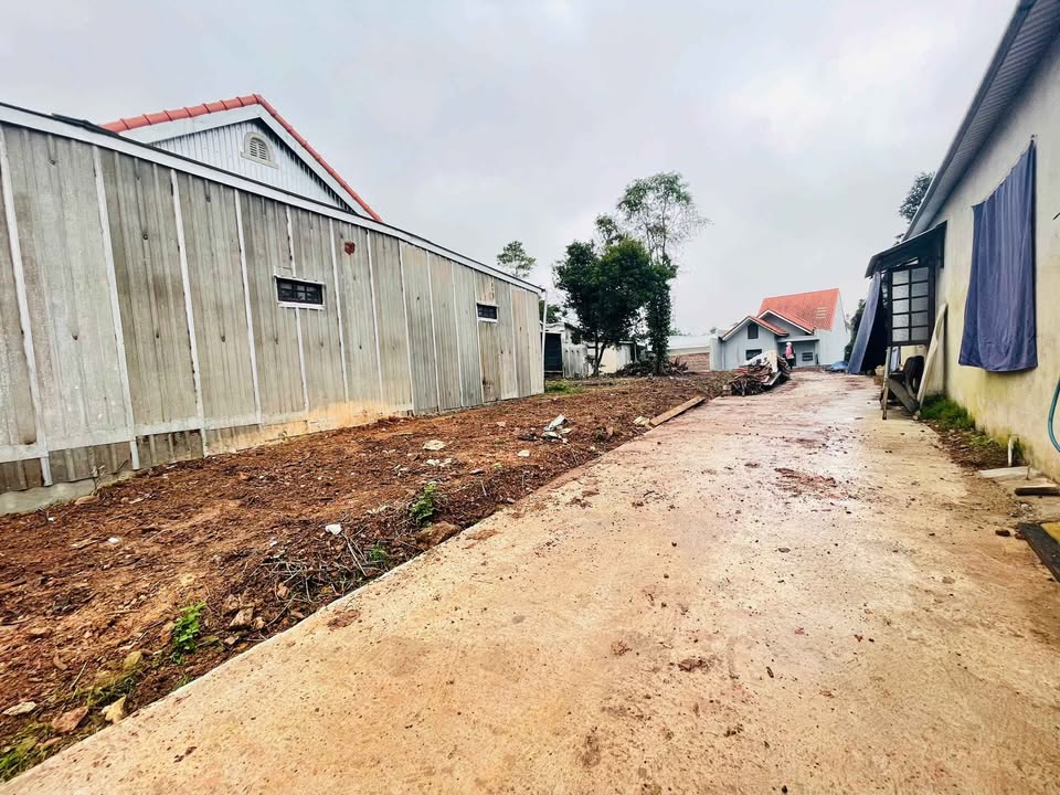 Lô đất liền kề 100m² tại Quảng Tế, Thủy Xuân - Giá chỉ 1,xx tỷ!