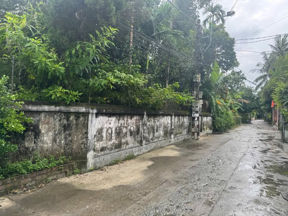 Đất Kim Long Huế 117m² giá 2.3 tỷ - Hướng Đông Nam thuận lợi cho an cư!