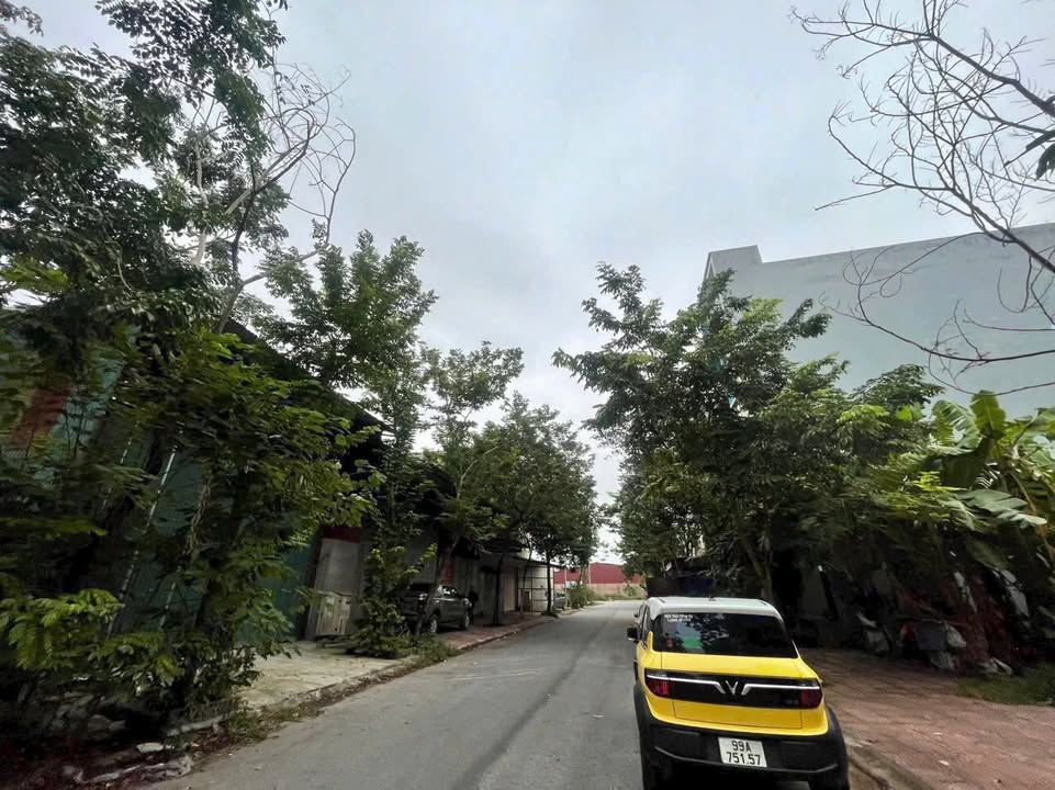 Đất nền khu đô thị giãn dân Nam Hồng 176m² giá 8.825 tỷ - Cơ hội đầu tư vàng!