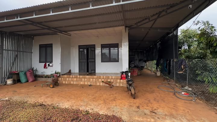 Đất thổ cư 8.400m² thôn Bình An, Đắk Lắk - Đầu tư sinh lời bền vững!