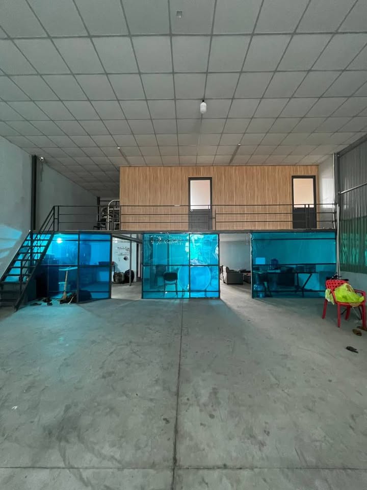 Kho xưởng cho thuê tại Khu Dân Cư Việt-Sing, Bình Dương 300m² - Phù hợp nhiều ngành nghề!