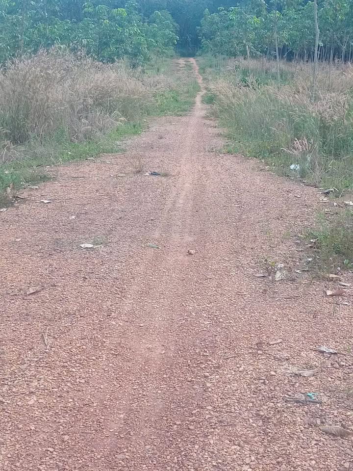 Đất nền 7,5ha Đồng Tâm, Bình Phước giá chỉ 8 tỷ - Gần khu công nghiệp!