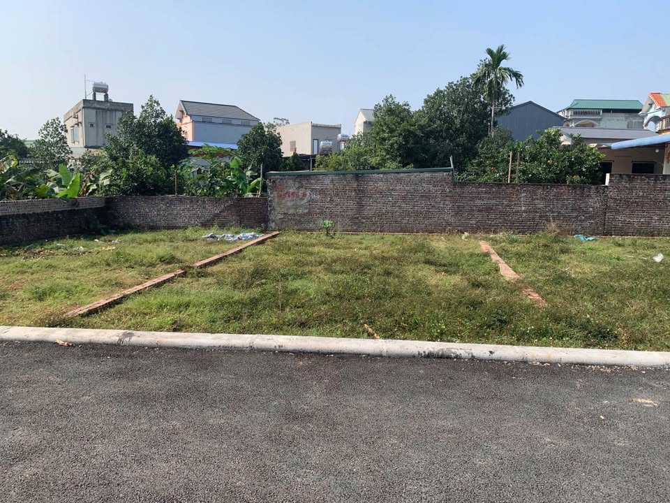 Đất nền Hạ Bằng, Thạch Thất 100m² - Vị trí đắc địa, tiềm năng sinh lời cao!