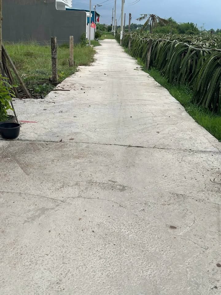 Đất thổ cư Hàm Liêm 100m² giá 495 triệu - Cơ hội sở hữu đất giá rẻ!