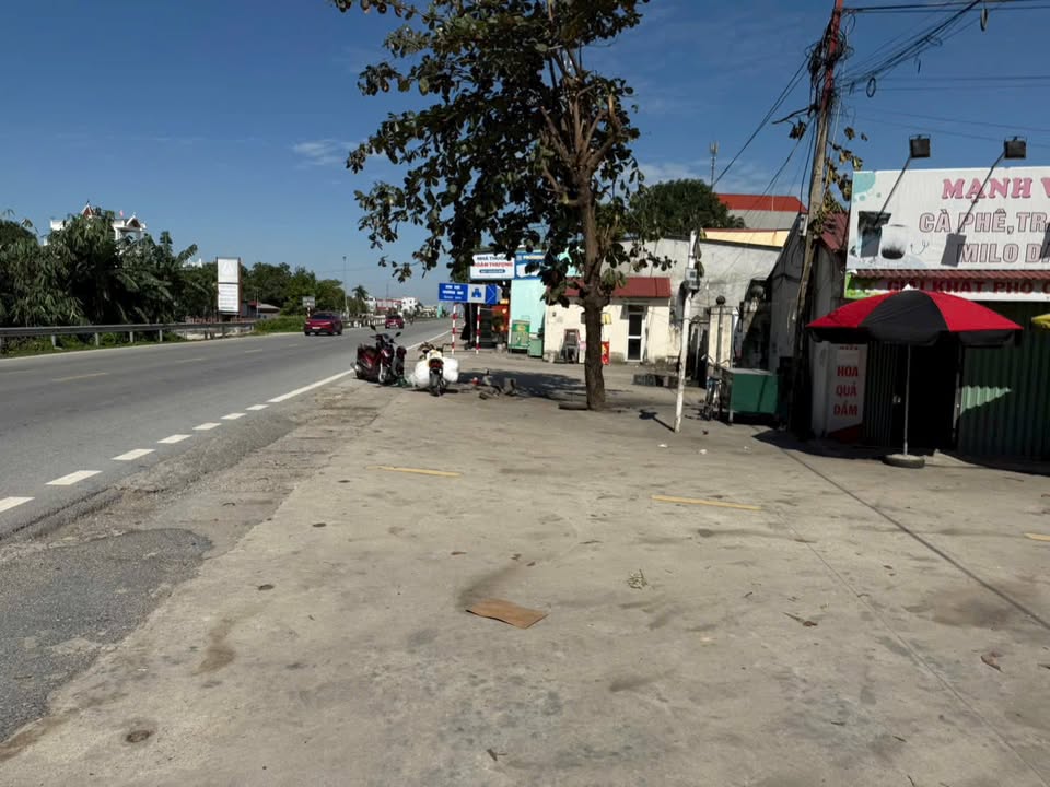 Đất liền kề thôn Cáy, Gia Lộc 105m² giá 1 tỷ - Hướng Nam mát mẻ