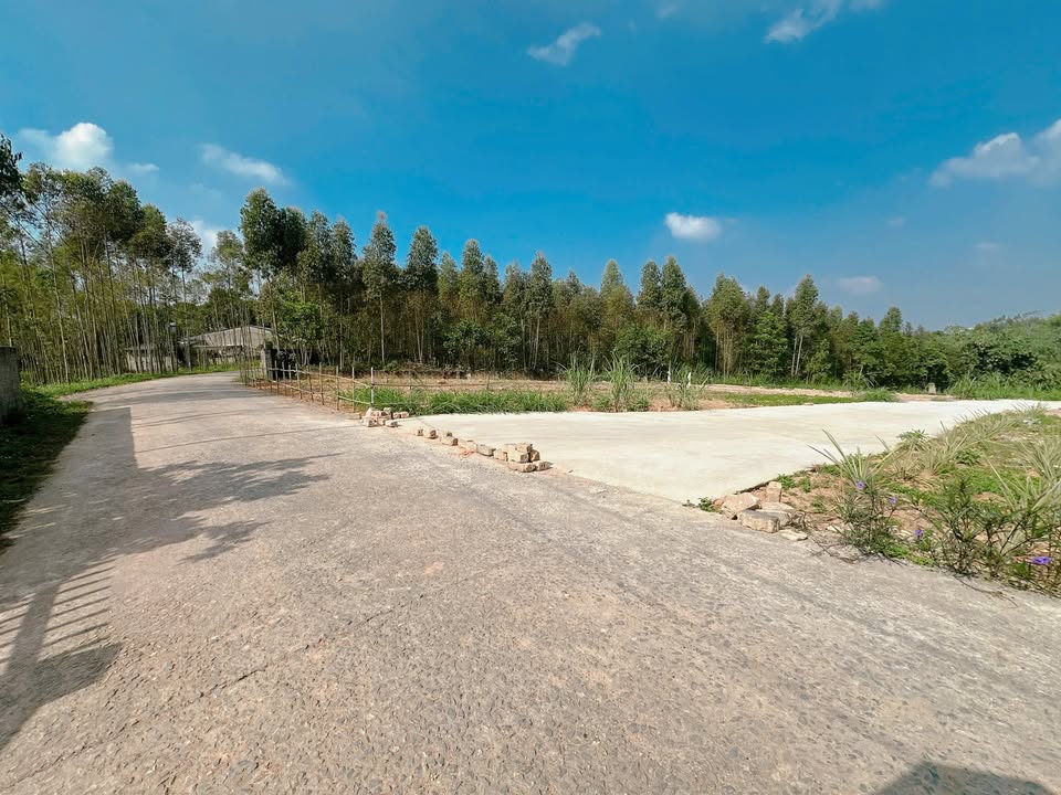 Đất nền khu phố 12, Tiên Kiên, Lâm Thao 120m² giá 700 triệu - Đầu tư sinh lời tuyệt vời!