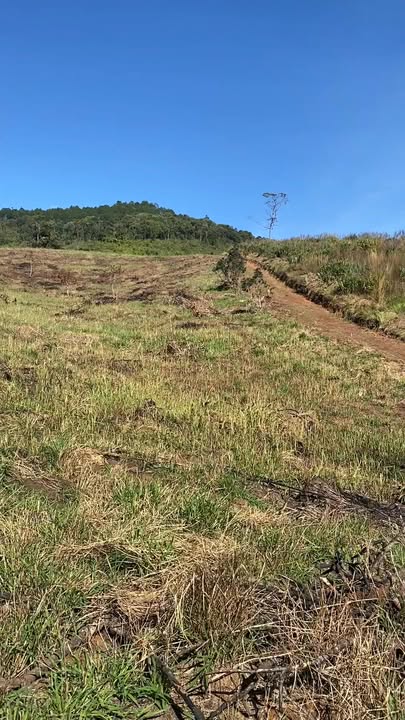 Đất nền xã Nam Hà 1000m² giá chỉ 350 triệu - Cơ hội đầu tư lý tưởng!