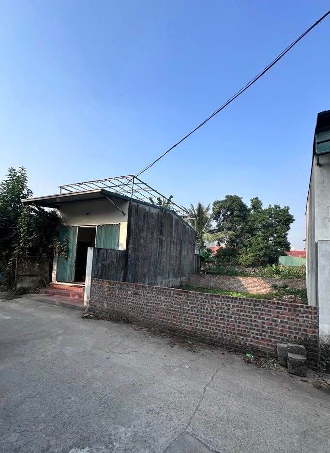 Đất nền Hoàng Mai 50m² giá 450 triệu - Cơ hội đầu tư tuyệt vời!