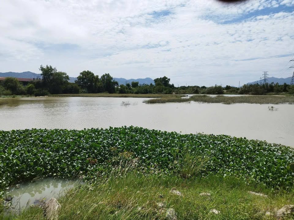 Dự án KCN tại xã Phước Ninh, huyện Thuận Nam, Ninh Thuận, 1.630.000m², giá 200 tỷ - Cơ hội đầu tư hấp dẫn!