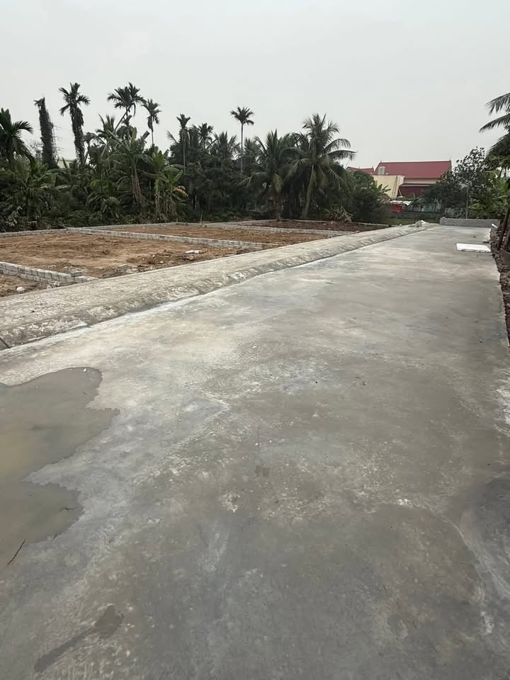 Đất nền KCN Nguyên Giáp Tứ Kỳ 97m² - Tiềm năng đầu tư sinh lời cao!