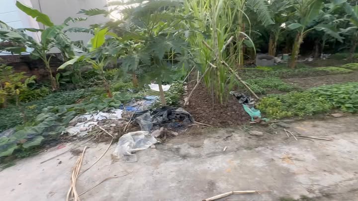 Đất thổ cư Cổ Bì Bình Giang 118m² - Vị trí đẹp, tiềm năng tăng giá