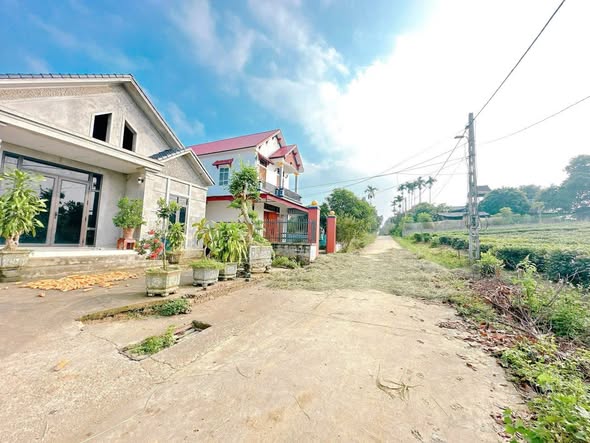 Đất thổ cư Võ Miếu, Thanh Sơn 173m² - View đồi chè thoáng mát!