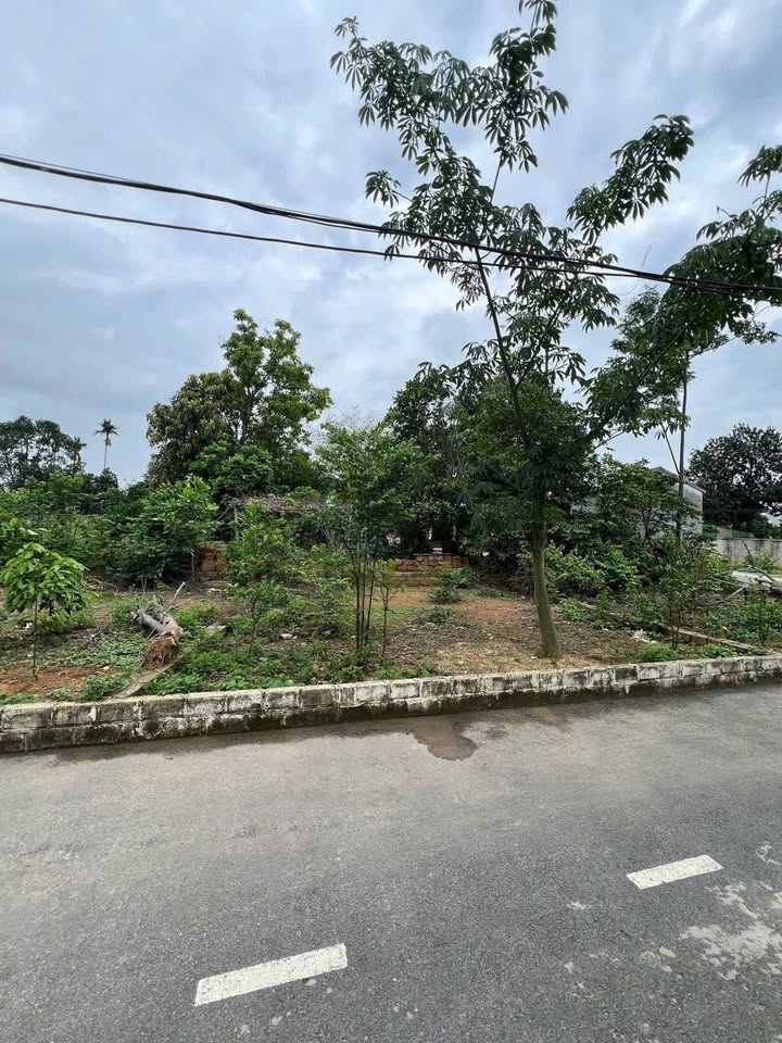 Đất nền Hòa Lạc 61.8m² giá 1.9 tỷ - Tiềm năng tăng giá cao!