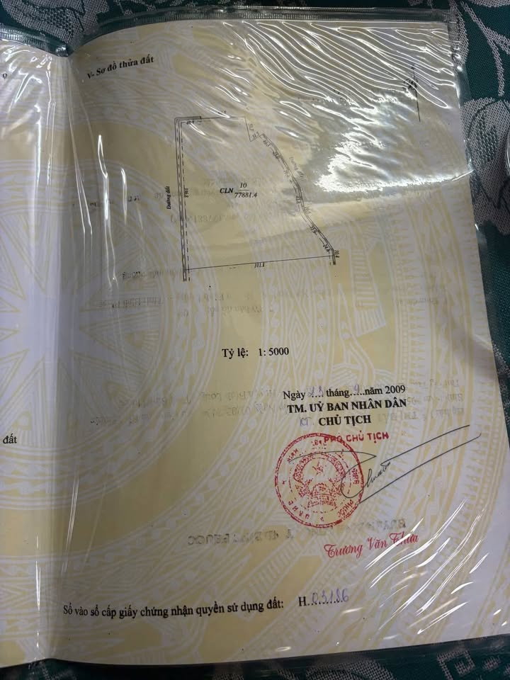 Đất nền Hớn Quản Bình Phước 10.000m² giá 1.65 tỷ - Đầu tư sinh lời ngay!