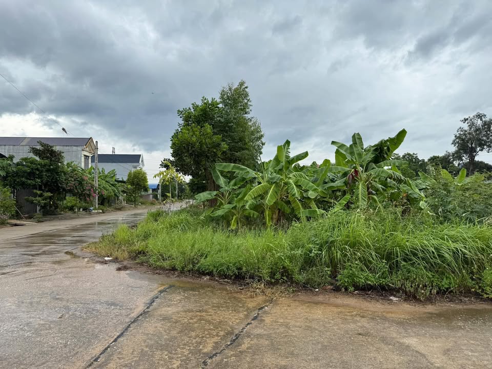 Đất nền Kim Long Tam Dương 102m² giá 2.3 tỷ - Lô góc kinh doanh sầm uất!