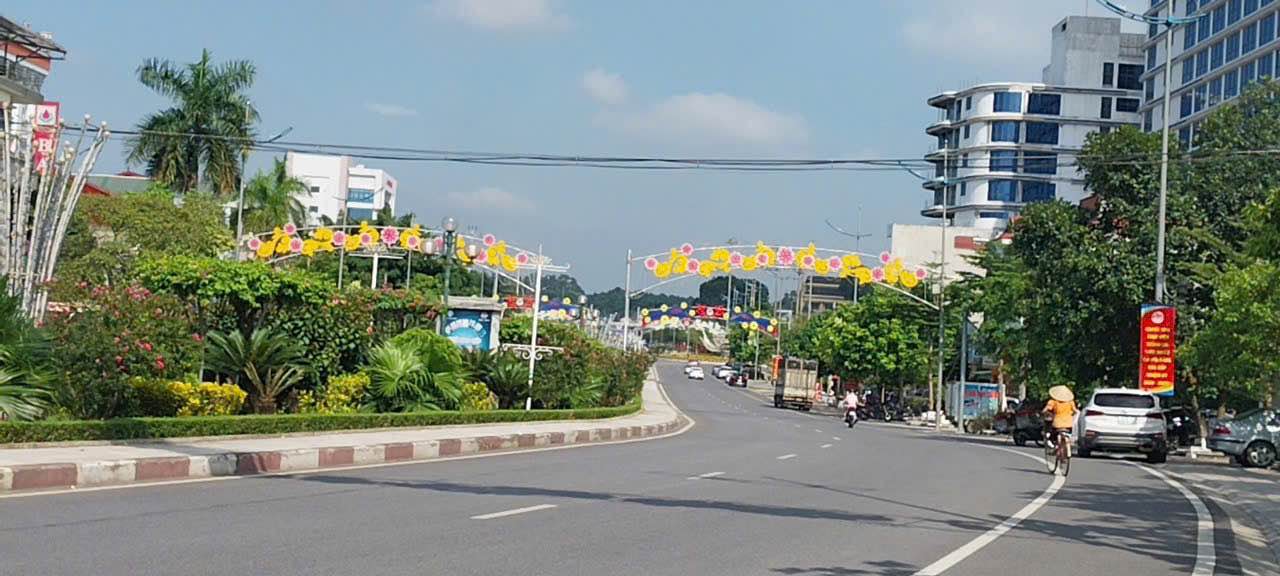 Đất mặt đường Nguyễn Tất Thành Vĩnh Yên 528m² giá 24 tỷ - Đầu tư sinh lời cao!