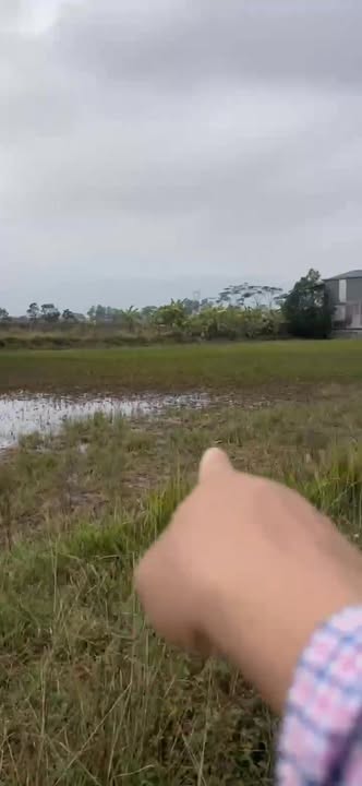 Đất nền đẹp tại Đồng Phong, Nho Quan, 90m² - Giá tốt thỏa thuận ngay!