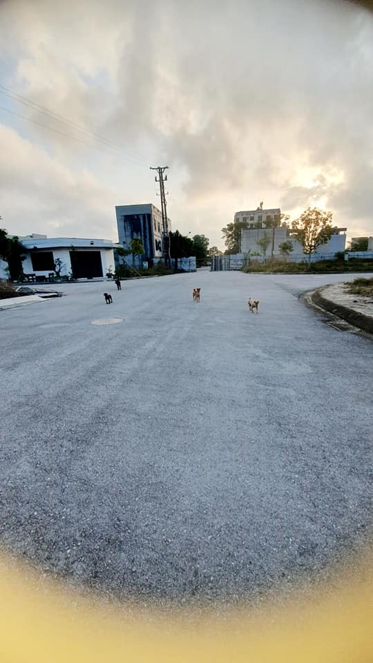 Đất nền đẹp tại Quảng Phú 95.5m² giá 3 tỷ - Đường ô tô thông thoáng!