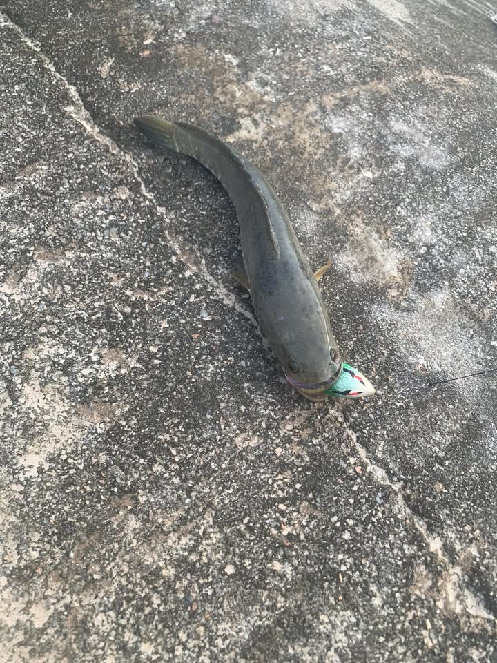 Cho thuê mặt bằng 70m² đường Nguyễn Thái Học - Giá chỉ 8 triệu/tháng!